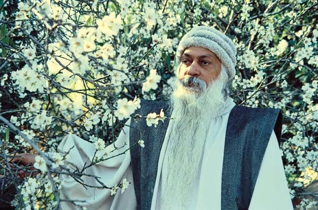 Rajneesh 